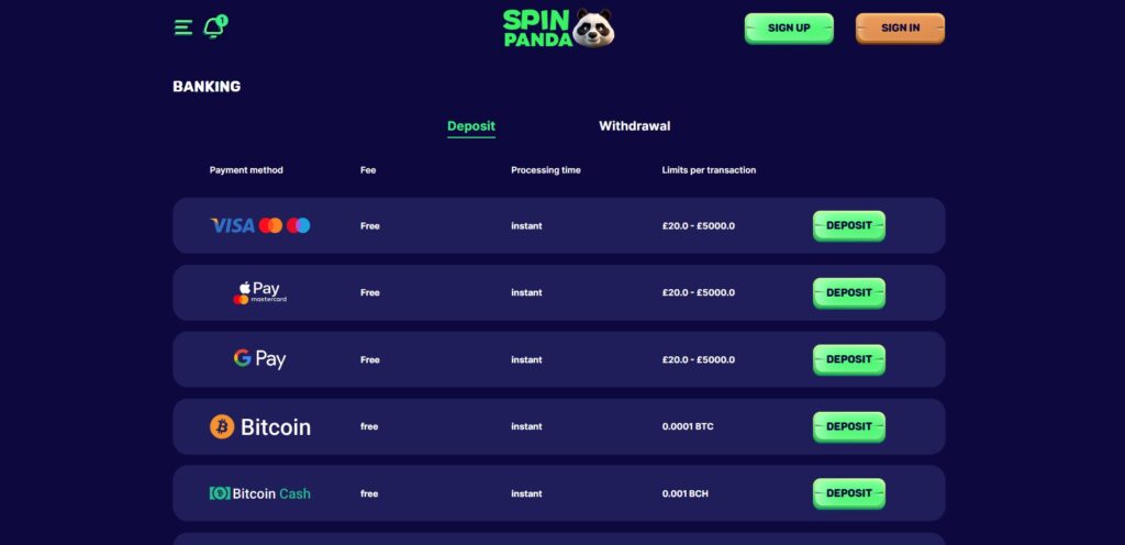 Discover Spin Panda Casino payment page
